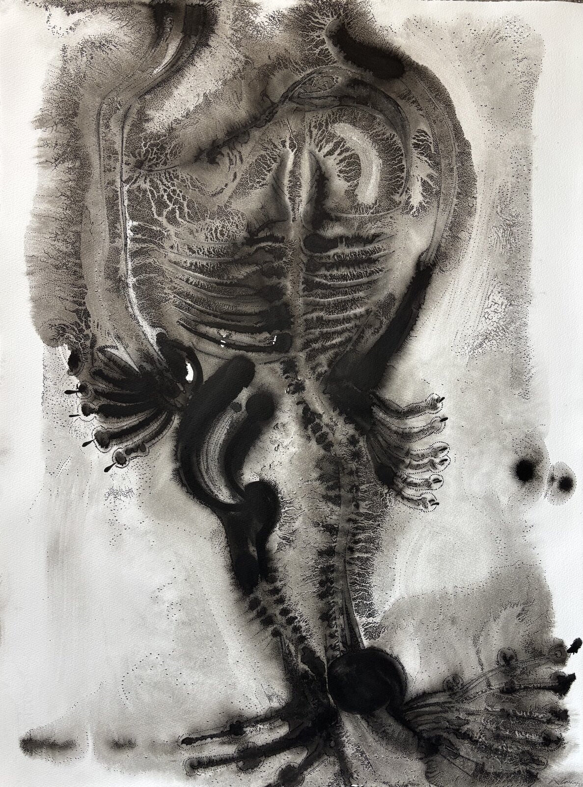 The Butcher's Niece XIX